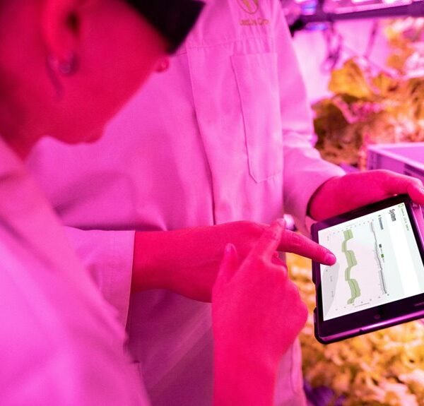 Maximize Your Growth 5557213466 Digital Tools